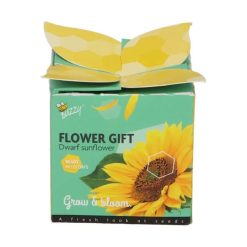 Buzzy Flower Grow Gift Dwarf Sunflower