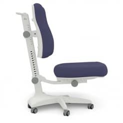 Lifetime Ergo Desk Chair - Blue upholstery, an ergonomically designed desk chair that grows with a child, can be adjusted in all directions.