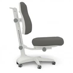 Lifetime Ergo Desk Chair in Grey is an ergonomically designed kids chair that grows with your child and can be adjusted in all directions.