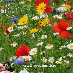 Native Wildflower Seedbombs1
